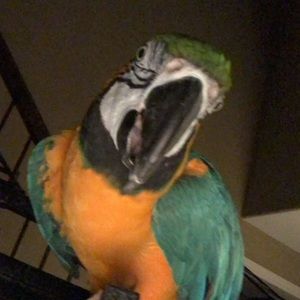 Meet your Posher, Brianna